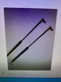 Gas Struts