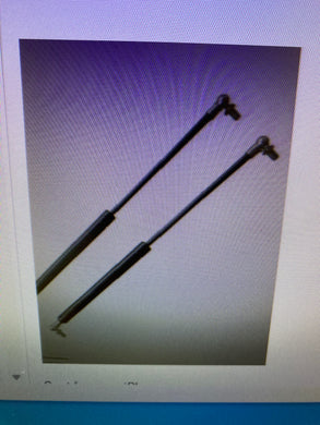 Gas Struts