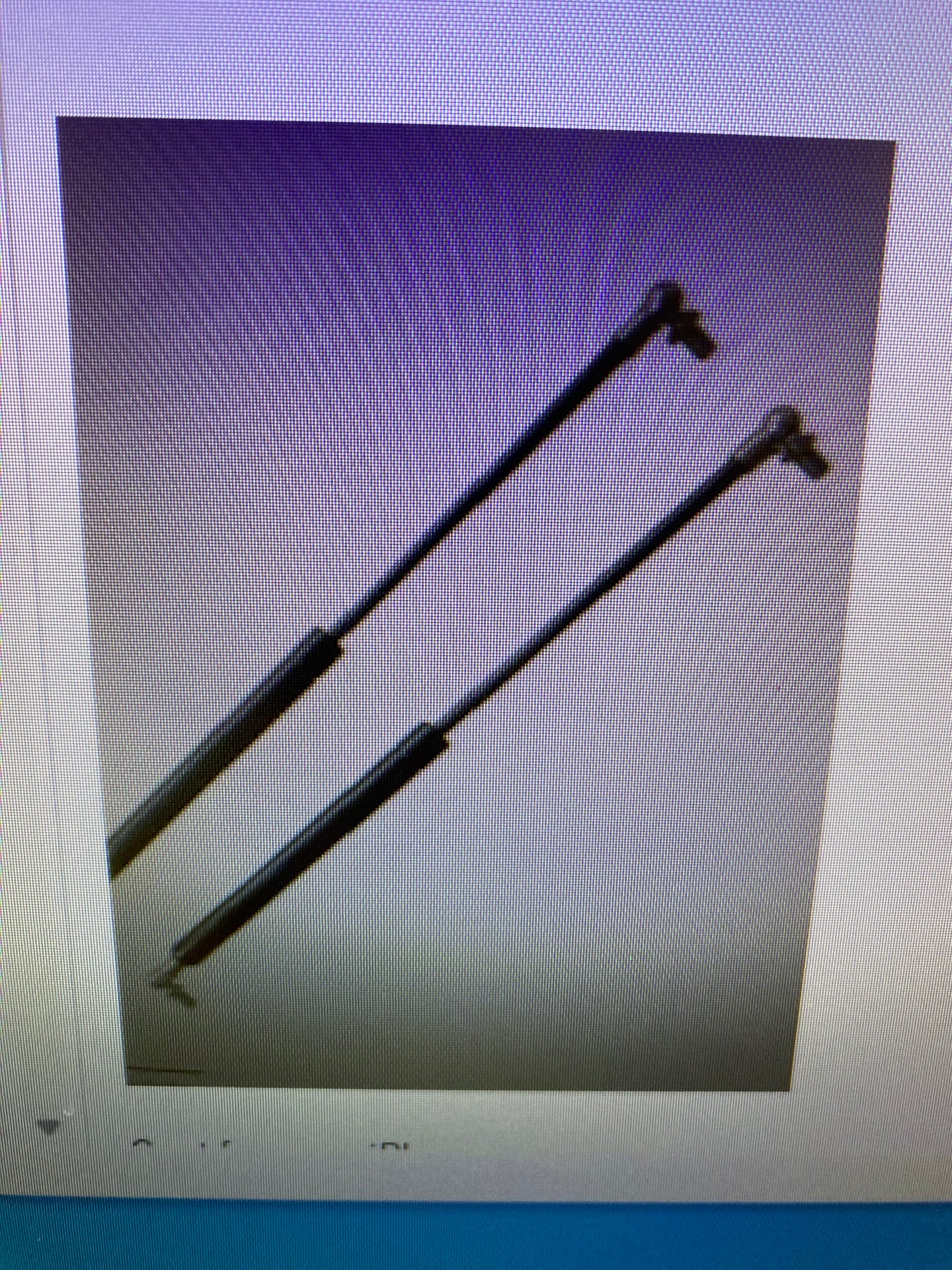 Gas Struts
