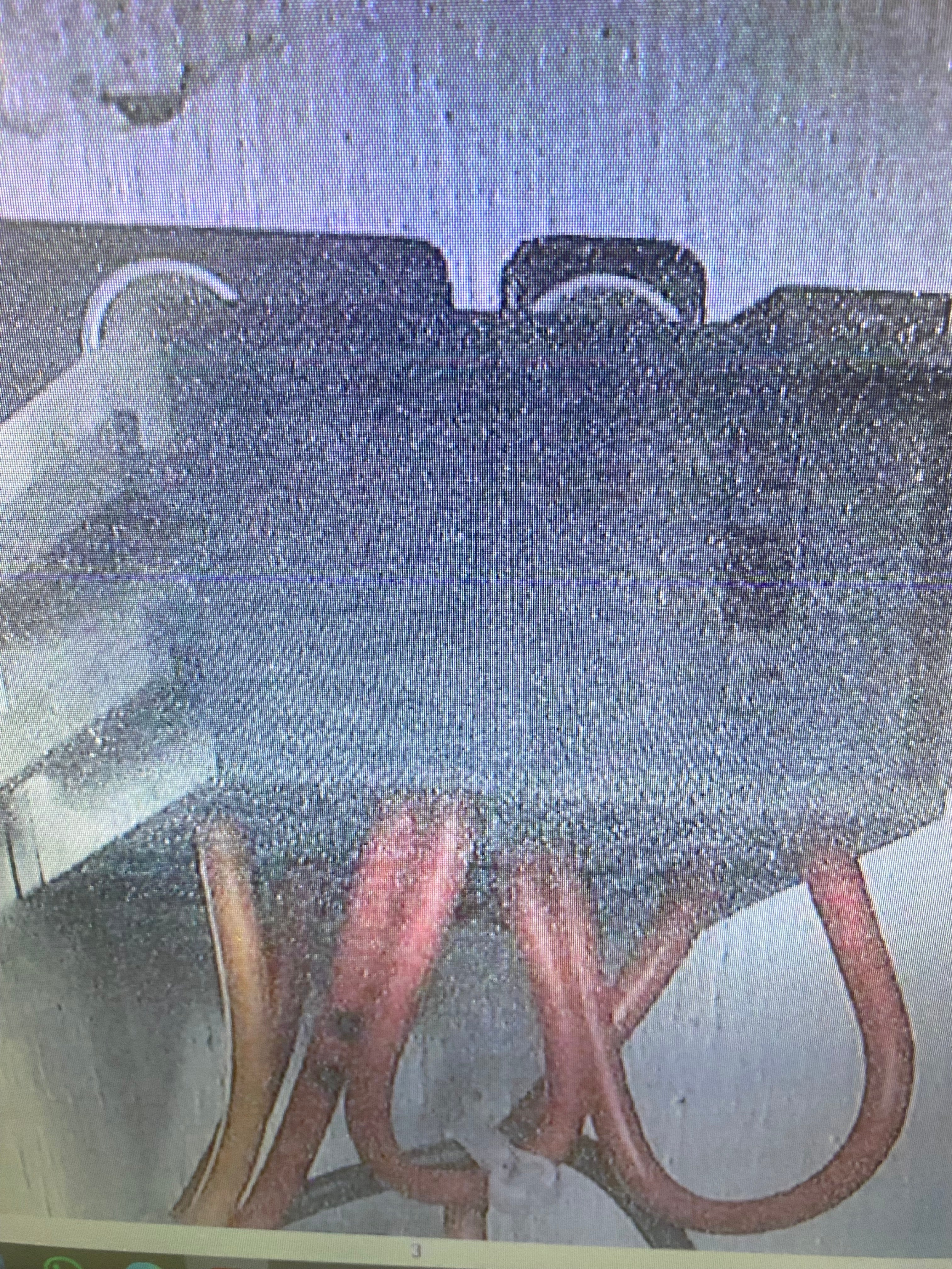 relay holder