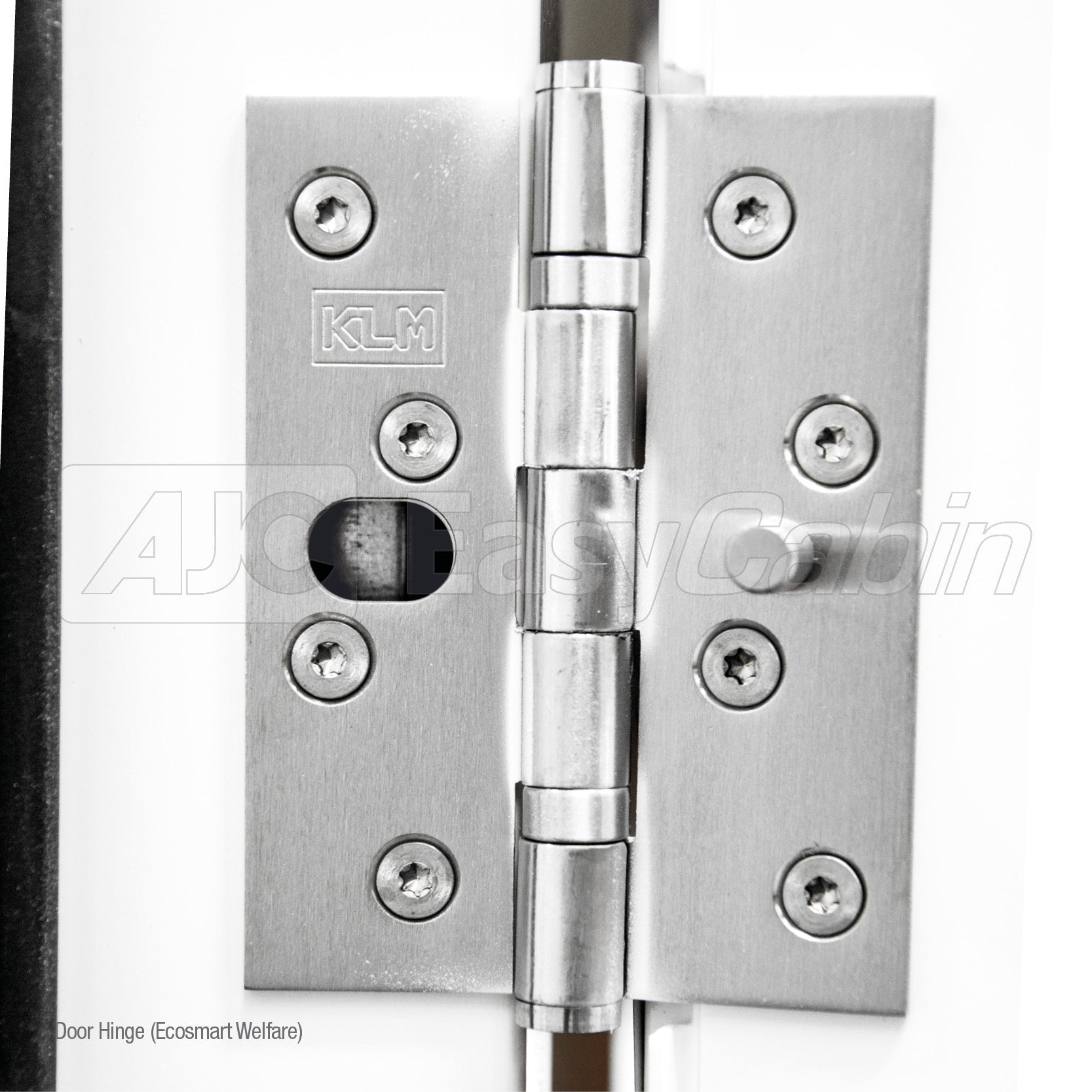 Welfare Door Hinge