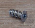 SCREWS FOR WELFARE DOOR HINGES